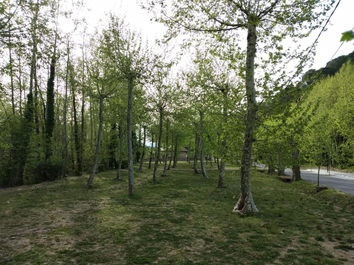 Apartaments Rural Montseny Gualba de Dalt Zewnętrze zdjęcie